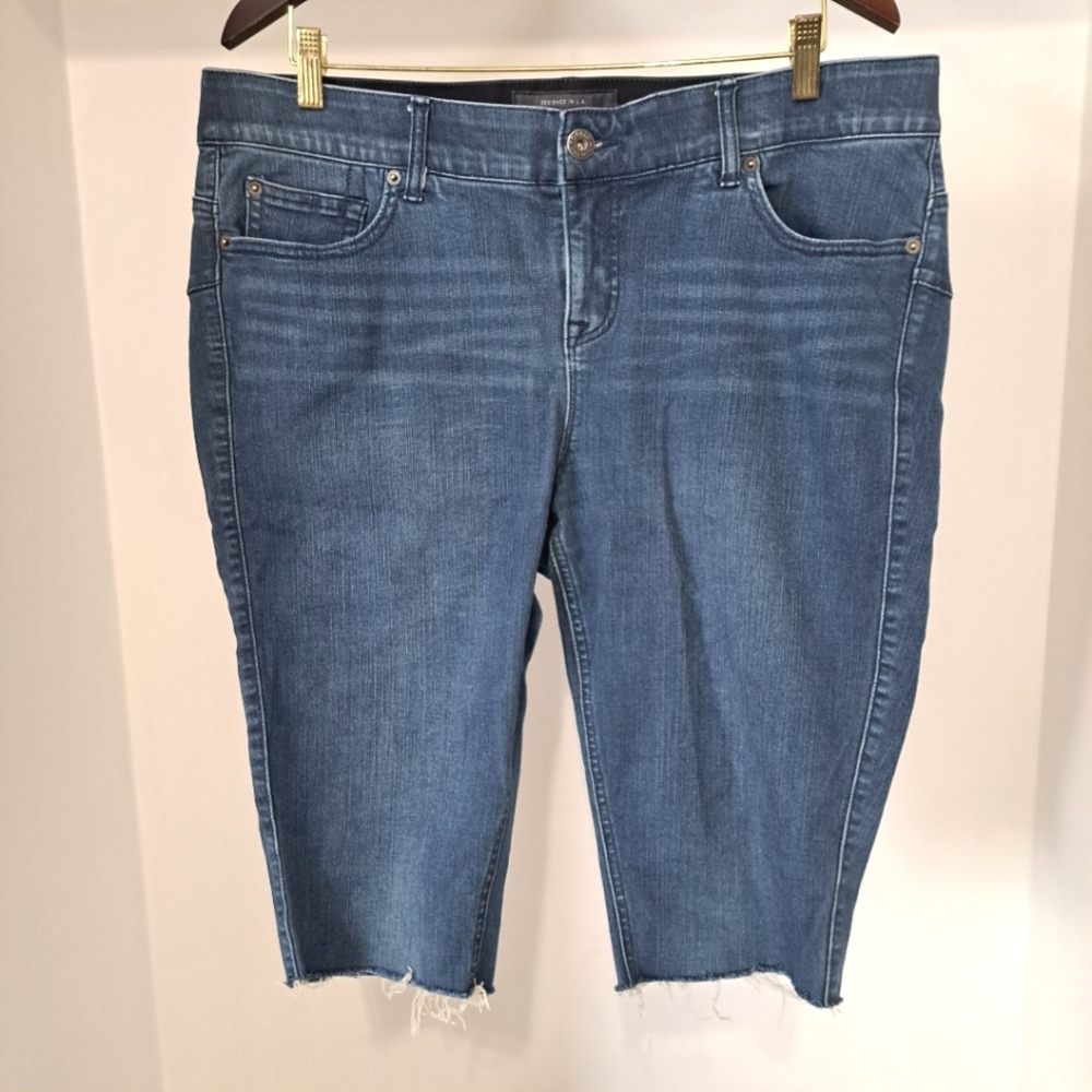 Torrid Women's Blue Jean Shorts